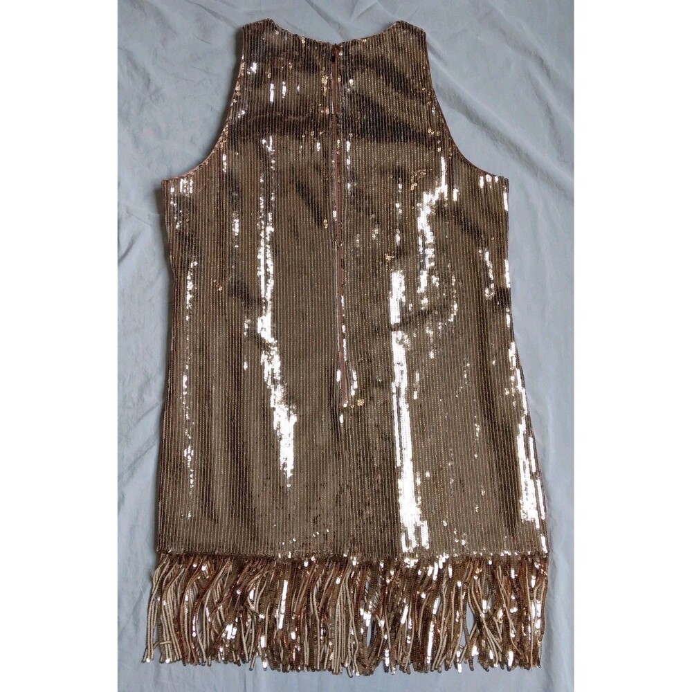 Flapper Dress Lined Champagne Pink 1920s Style Gatsby Sequins Fringe Size 14 - Picture 7 of 11